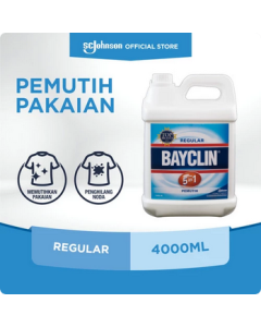 Bayclin Regular 4lt