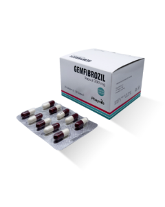 GEMFIBROZIL 300 mg