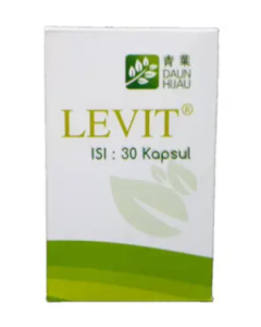 LEVIT @30