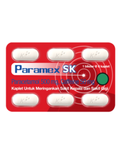 PARAMEX SK