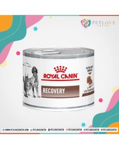 Royal Canin Recovery Canned