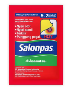 SALONPAS HOT