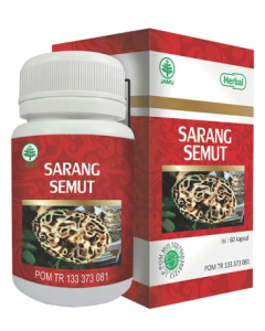 SARANG SEMUT